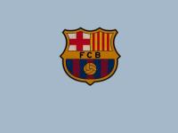 FB体育在线-萨拉赫一锤定音终结韩国悬念，利物浦强势书写新纪录之夜