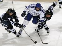 FB体育官方网站-约基奇节奏完全掌控，国王强压快船的深层战术解析