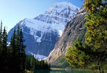 FB体育注册网址-赛道上的猛龙，当西亚卡姆在F1街道赛接管比赛