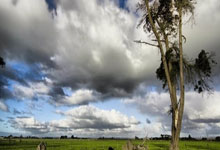 FB体育APP-死亡之组惊魂夜！西班牙爆冷输球反迎出线曙光