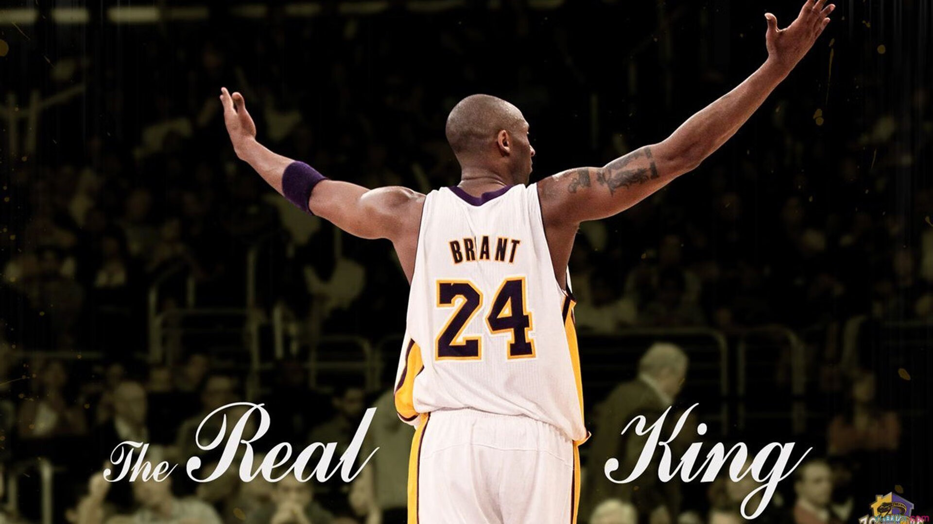 哈利伯顿爆发，尼克斯稳稳拿下鹈鹕